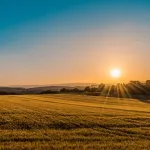 Finding Strength in Gratitude During Difficult Times